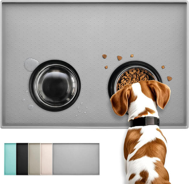 This silicone food mat keeps my floor free of spilled water and Gus's raw food.